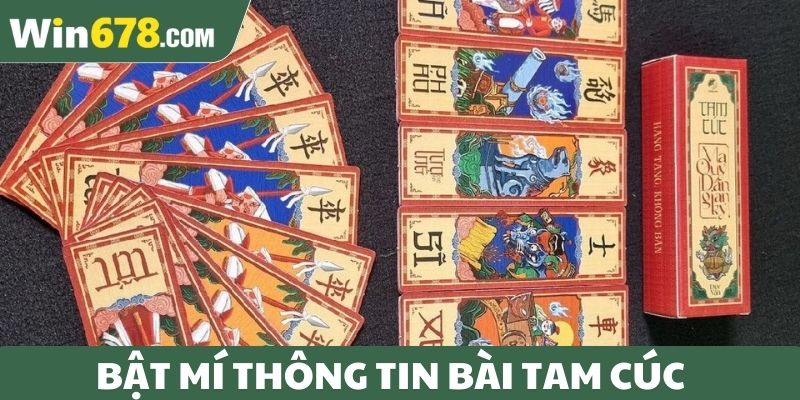 Bật mí thông tin bài tam cúc